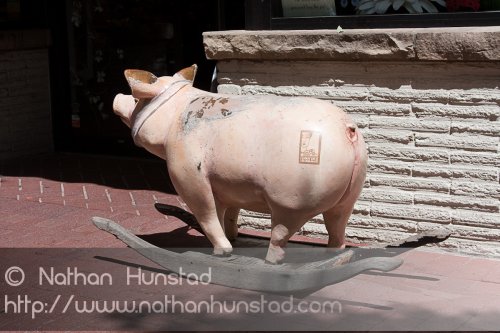 A pig on the Pearl Street Mall in Boulder, CO